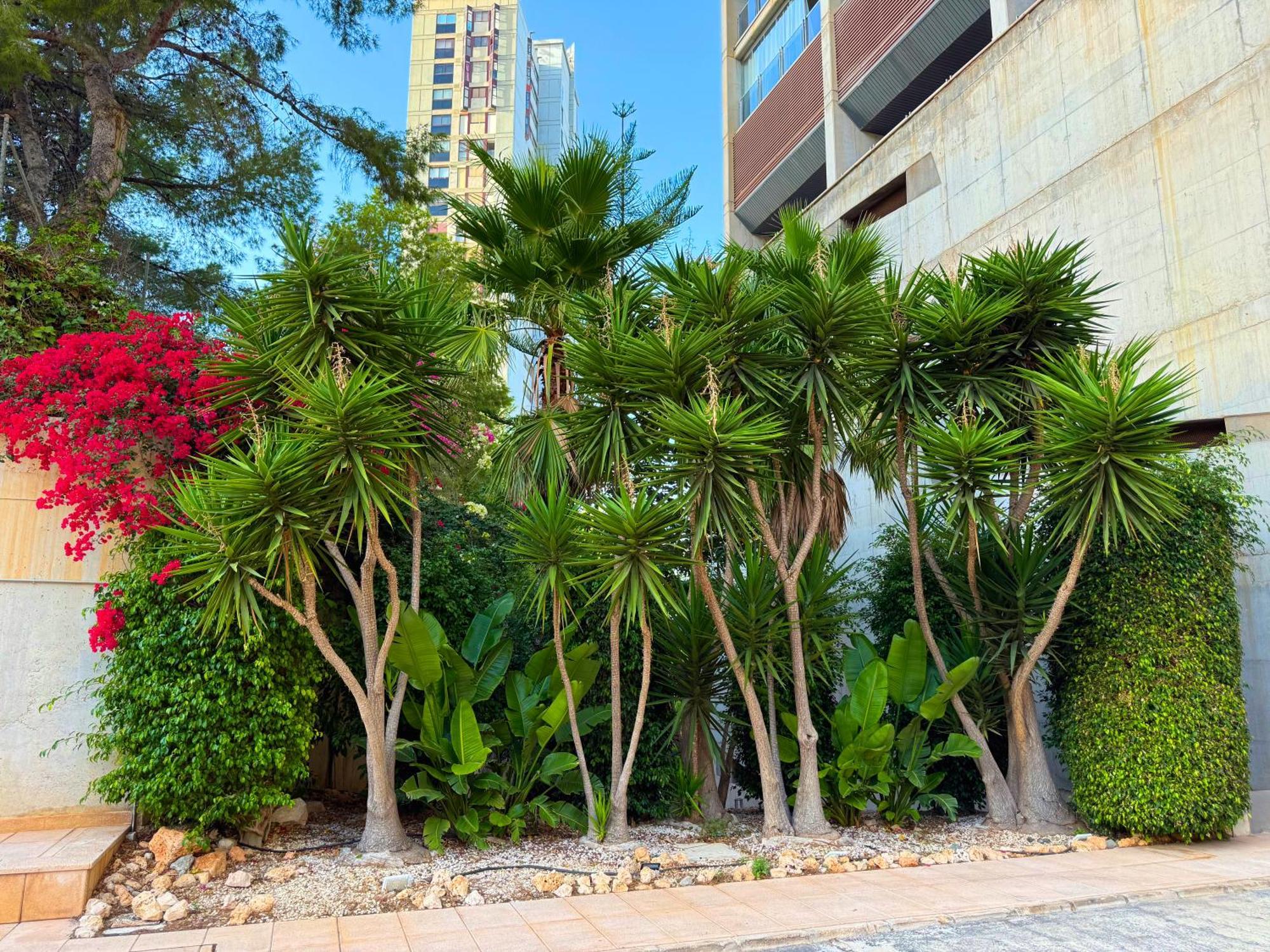 Beautiful Apartment Near Beach With Panoramic Sea-View เบนิดอร์ม ภายนอก รูปภาพ